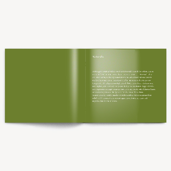 Catalogo VAllese
