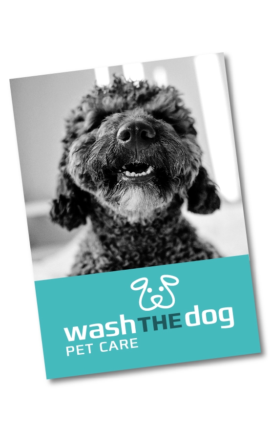 Wash