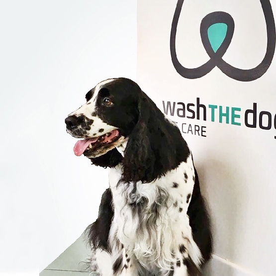 Wash